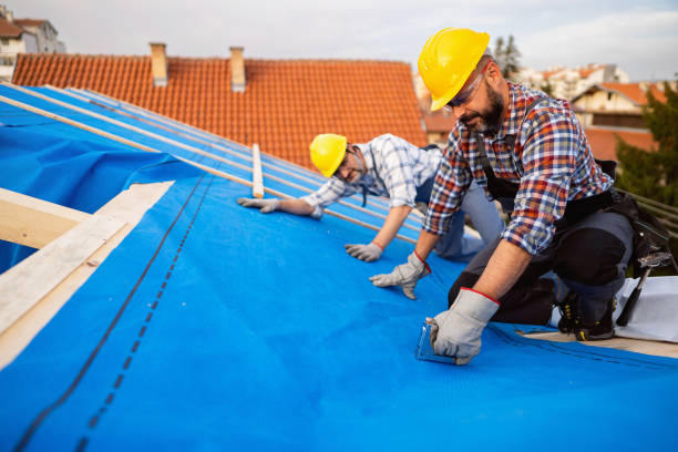Roof Gutter Cleaning in Presidential Lakes Estates, NJ